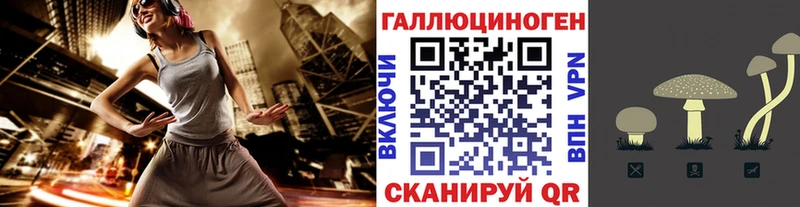 blacksprut ТОР  Котово  Галлюциногенные грибы Psilocybe  дарнет шоп 
